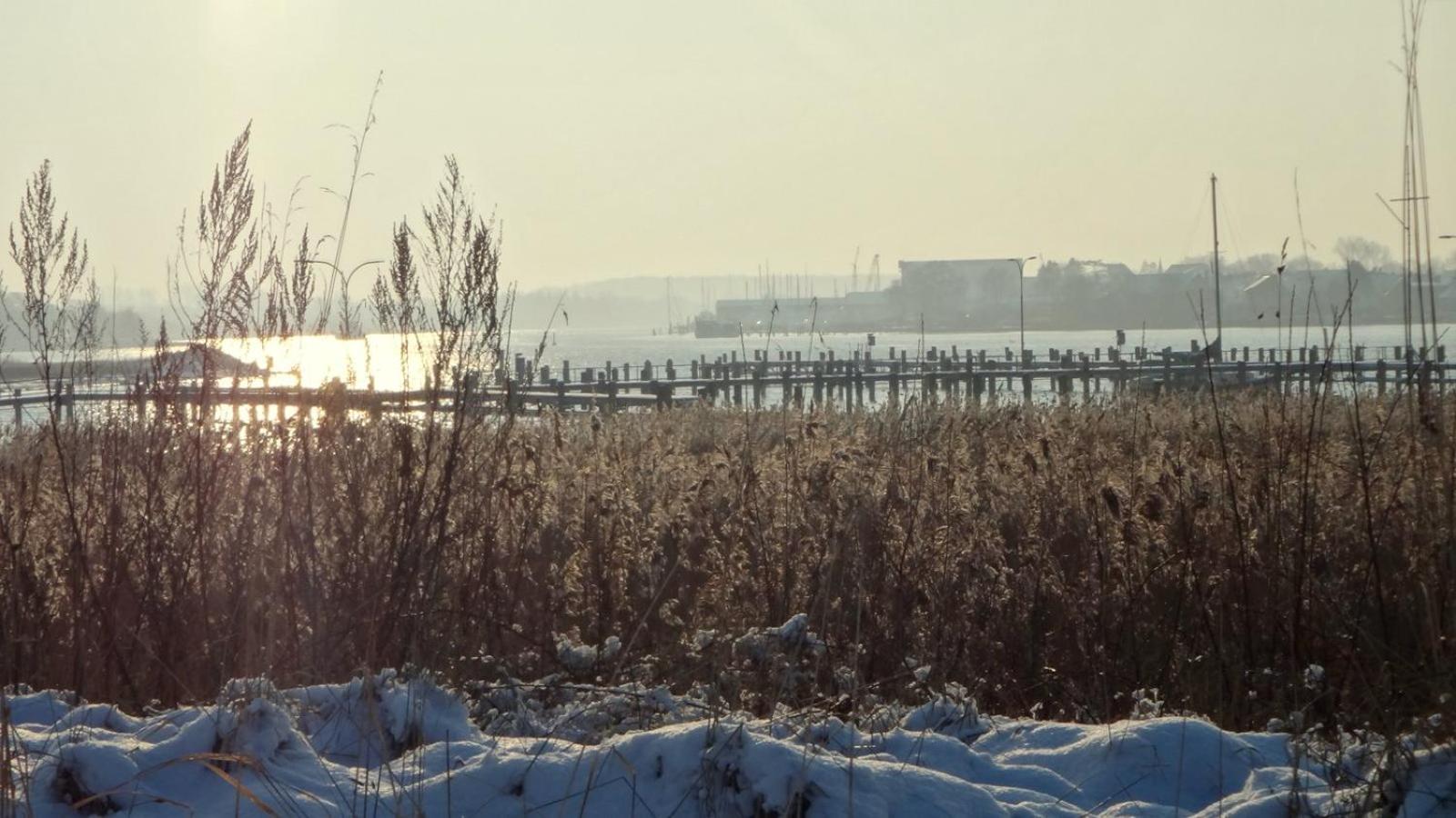 Ferienhaus Dat Smuke Swedenhuus Kappeln Buitenkant foto